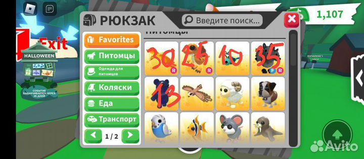 Петы адопт ми