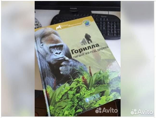 Красочная энциклопедия о животных для детей