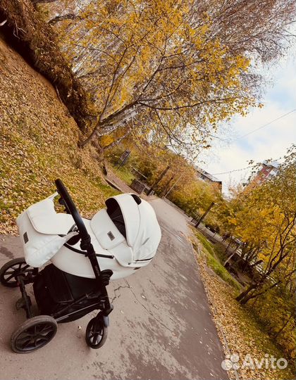 Коляска riko basic montana 3 в 1