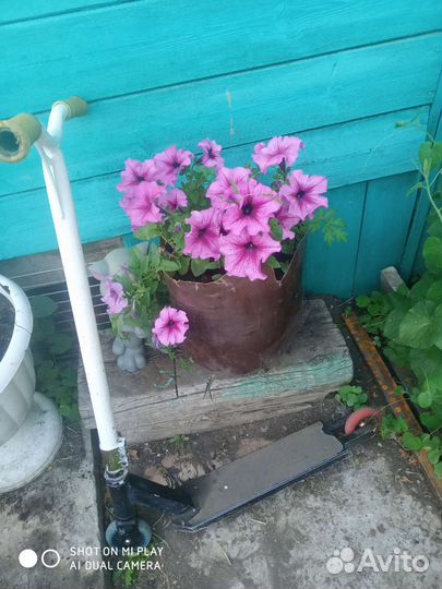 Трюковой самокат