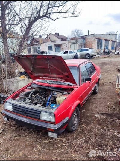 Двери на volkswagen jetta 2