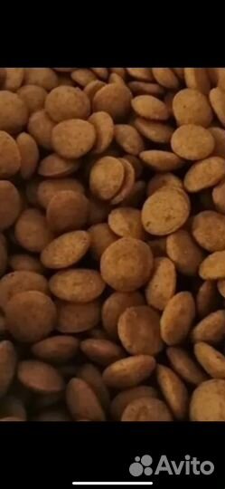 Корм для собак/кошек