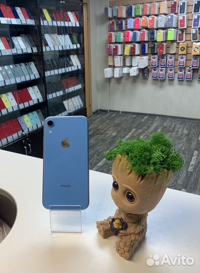 iPhone Xr, 128 ГБ