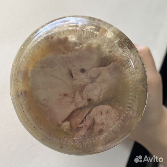 Печень трески сделана в море ж/б всходы коммунизма