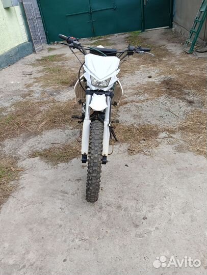 Ирбис ттр 250