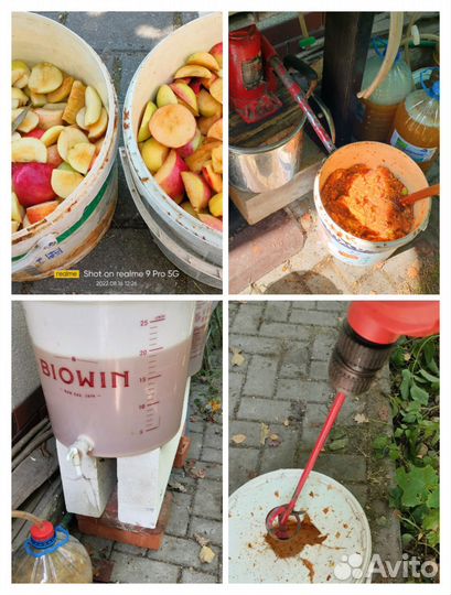 Домашний яблочный уксус