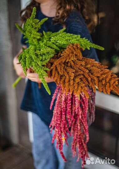 Фермерские цветы на срез