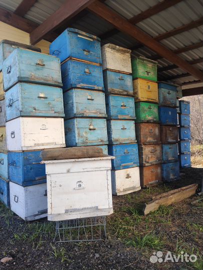 Продам ульи для пчел