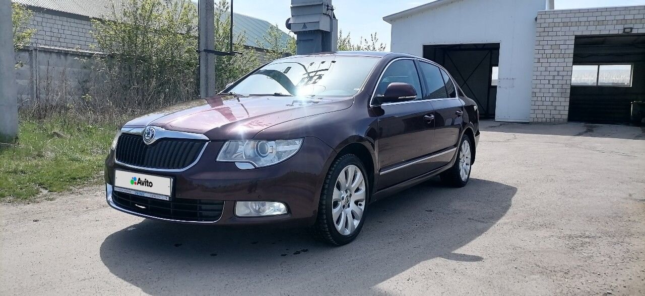 Skoda Superb: фото владельца
