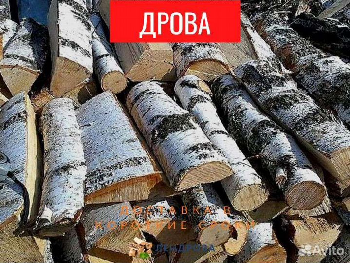 Дрова березовые
