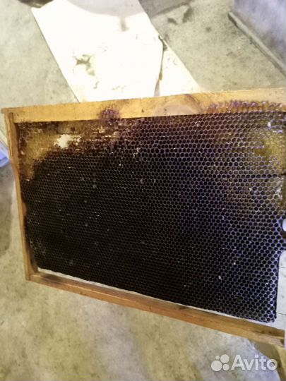 Рамки с сушью