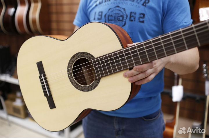 Гитара классическая Parkwood PC90-wbag-OP