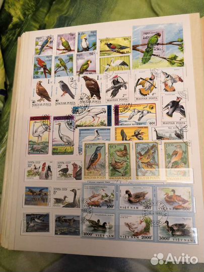 Почтовые марки серии фауна