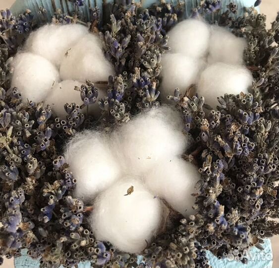 Сухоцветы в кашпо