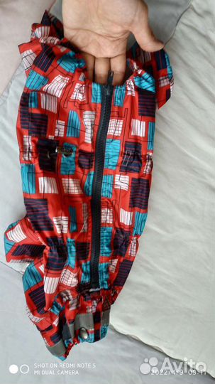 Дождевик для маленькой собаки