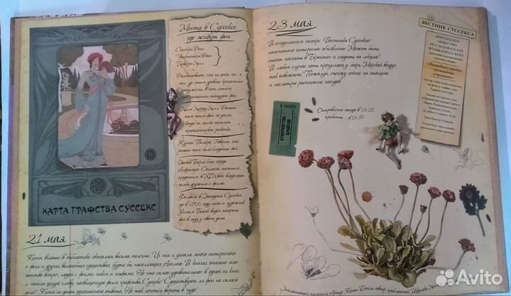 Тайны фей. Дневник наблюдений