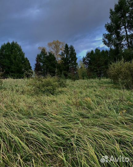 Мобильный фотограф на iPhone