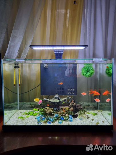 Аквариум