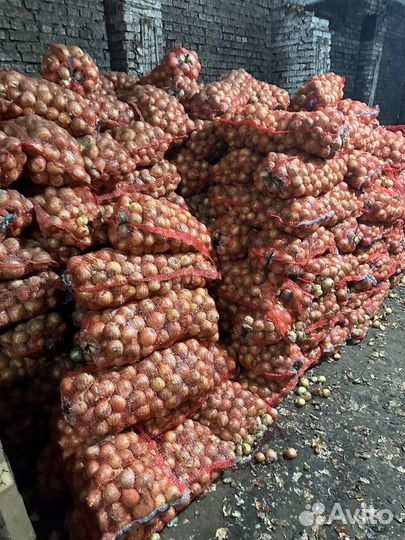 Лук на перо под посадку от 5 тонн Халцедон