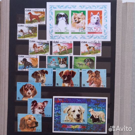 Почтовые марки кошки, собаки