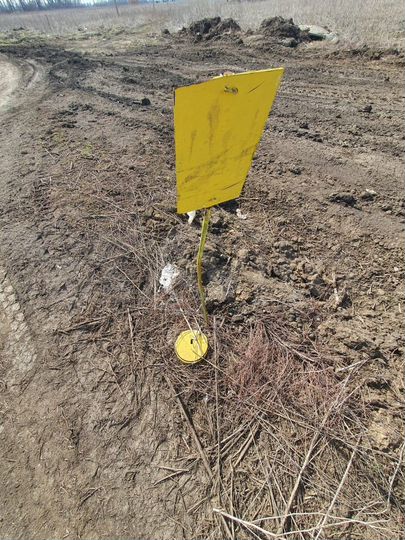 Участок 8 сот. (ИЖС)