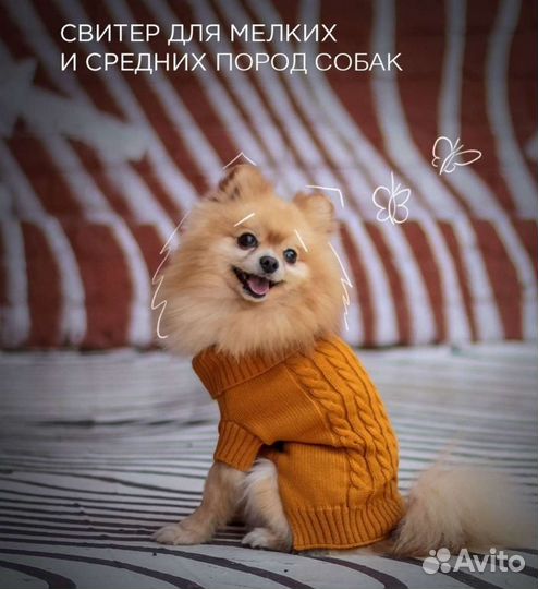 Джемпер для маленькой собаки или кошки