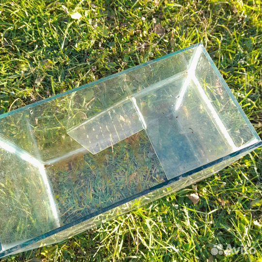 Аквариум бесплатно