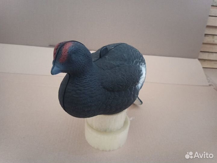 Чучела для охоты Тетерев