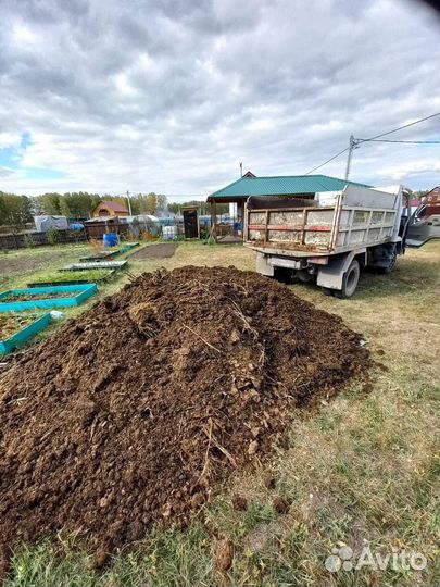 Заказать с доставкой Перегной коровий