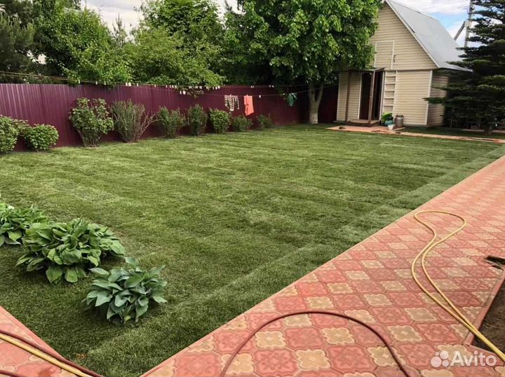 Рулонный газон, укладка, продажа