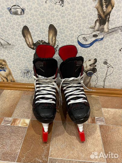 Коньки bauer