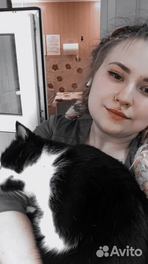 Ветеринарный врач-терапевт, ратолог на дом