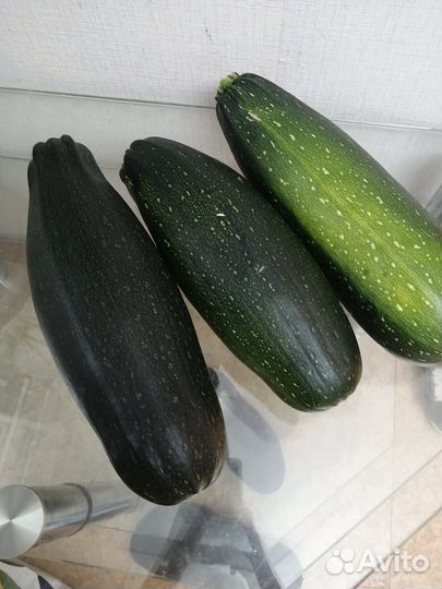 Кабачки домашние