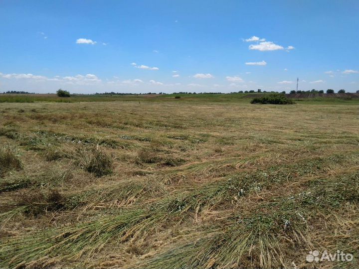 Сено луговое, солома пшеничная и ячменная