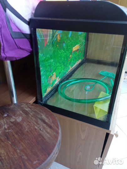 Аквариум для рыб