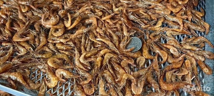 Креветка сочная, сладкая