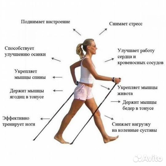 Телескопические треккинговые палки