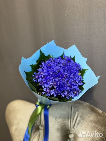 Васильки букет