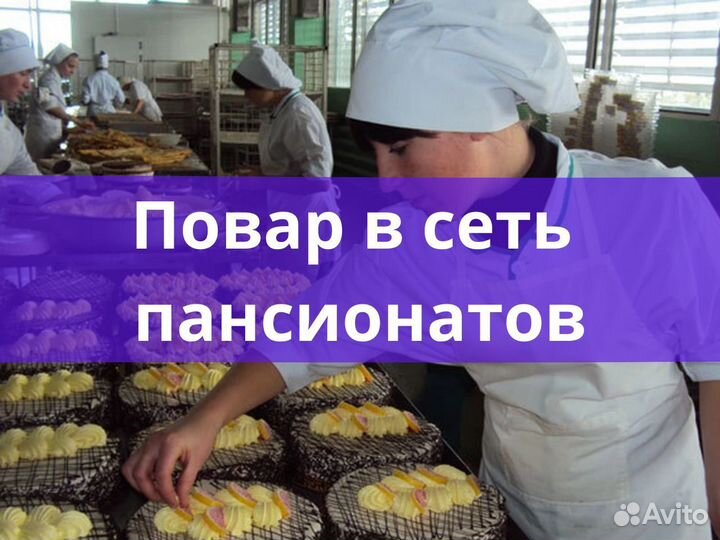 Повар 5/2