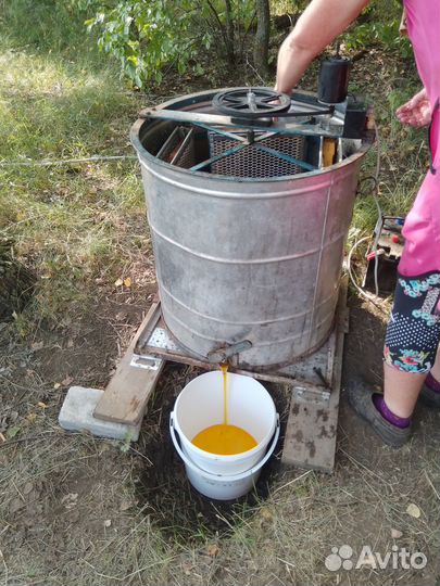 Мёд в розницу и оптом с личной пасеки