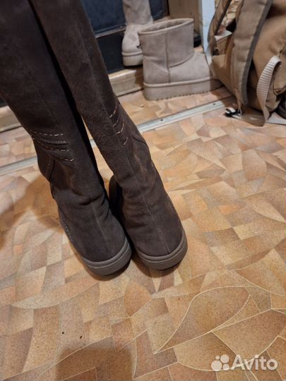 Сапоги натуральная замша 38