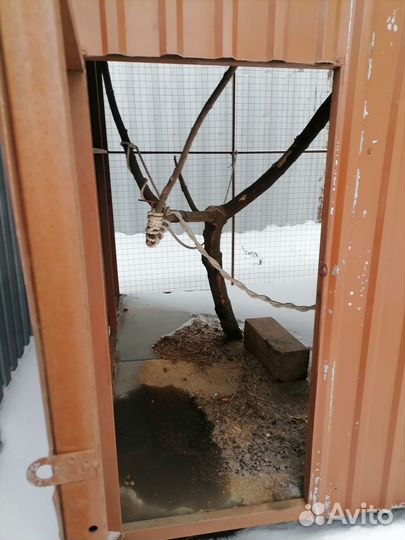 Павильон,вольер для животного,крупной хищной птицы