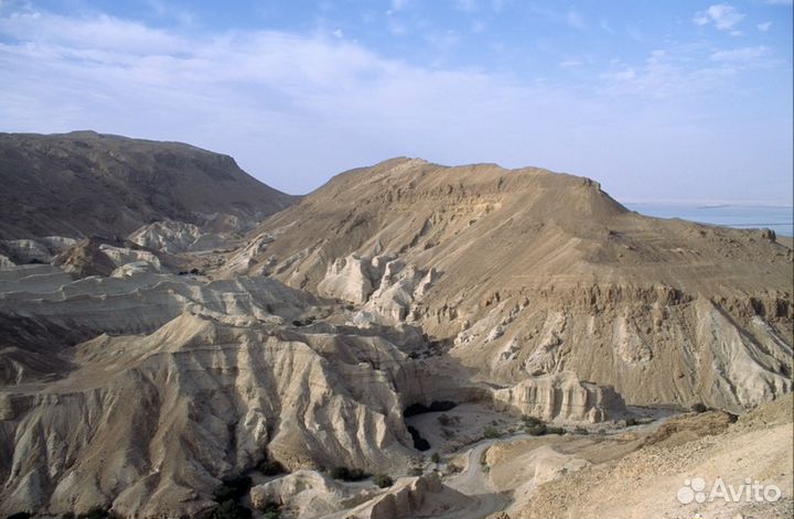 Сканирование фотопленок тип 35 мм на Nikon 5000