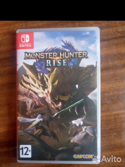 Monster hunter rise