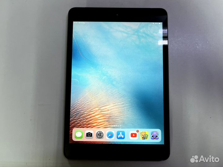 iPad mini 2
