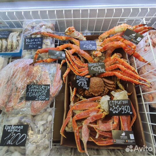 Конечности краба Стригуна