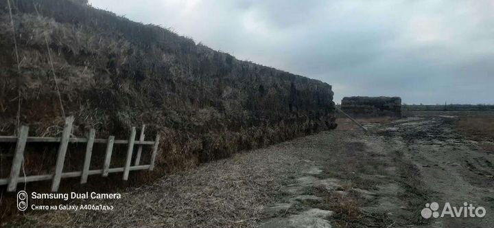 10 львовская