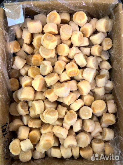 Оптом Гребешок Приморский