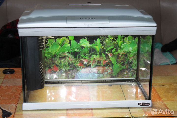 Аквариум Cayman 50 (40 л.)