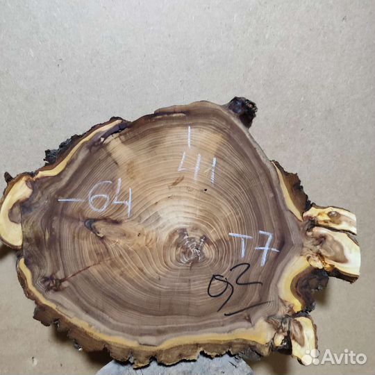 Слэб карагача